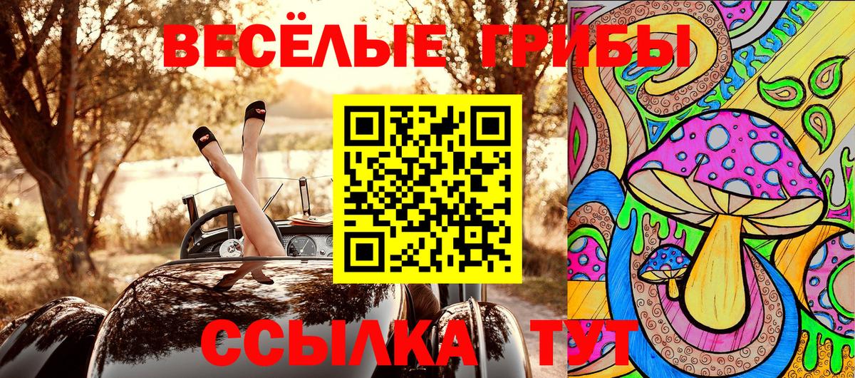 Галлюциногенные грибы GOLDEN TEACHER Подольск
