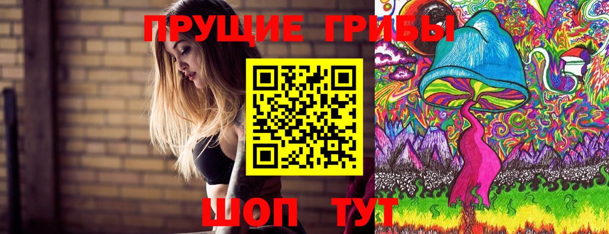 Подольск  Галлюциногенные грибы Psilocybine cubensis  Галлюциногенные грибы Cubensis  Вход с VPN 